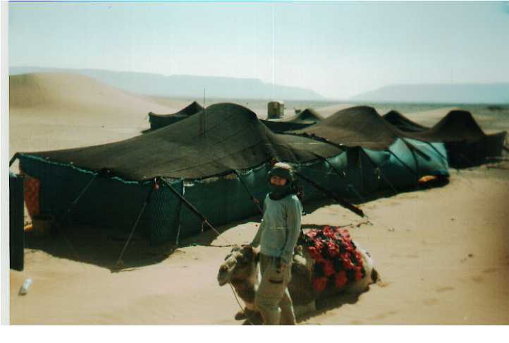 ALT =[“Dr. Jolie Bookspan: Dr. Bookspan with camel friend during study of heat and desert exposure”]