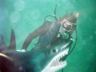 ALT =[“Dr. Jolie Bookspan: Dr. Bookspan scuba diving with a funny shark”]