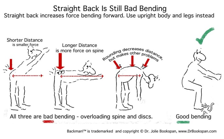 ALT =[“Hip hinges are still bad bending. See why on Dr. Bookspan's web page of Healthier Yoga - http://drbookspan.com/WarriorYogaSyllabus.html] 